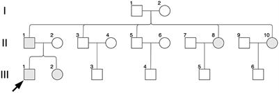 Case Report: A Novel PAX3 Mutation Associated With Waardenburg Syndrome Type 1